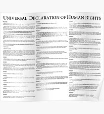 Universal Declaration of Human Rights Poster