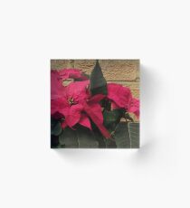 Weihnachtsstern-Geschenk Acrylblock
