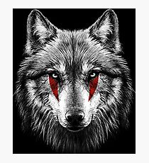 Moro Wolf White Face Photographic Print