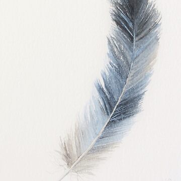 Artwork thumbnail, Grey blue feather study in watercolour II by LisaLeQuelenec