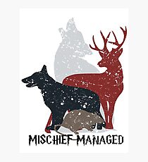 Marauders Photographic Print