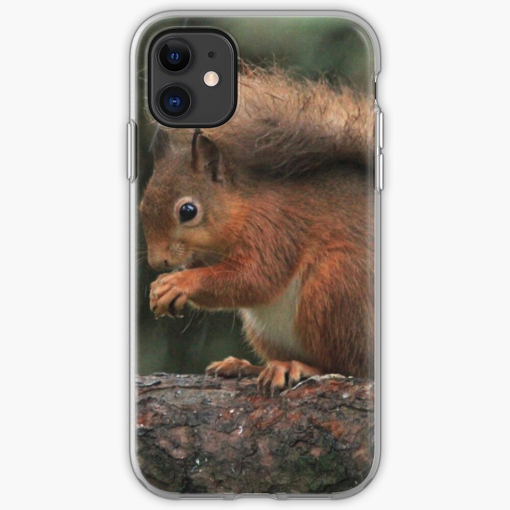 Squirrel shelter iPhone Case & Cover