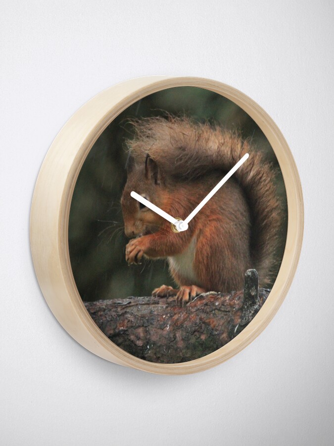 Alternate view of Squirrel shelter Clock