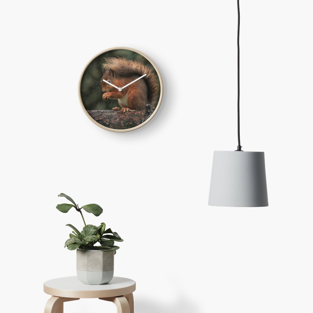 Squirrel shelter Clock