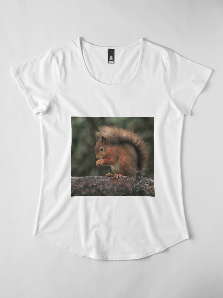 Alternate view of Squirrel shelter Premium Scoop T-Shirt