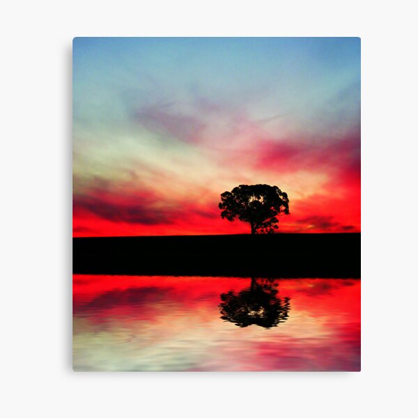 Dream Pool Canvas Print