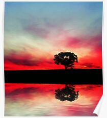 Dream Pool Poster