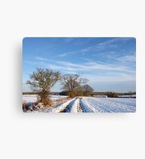 snowy landscape Canvas Print