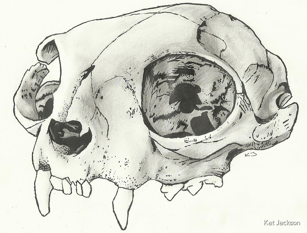 Crane De Chat Par Katrina Jackson Redbubble