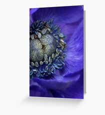 Complexity Greeting Card
