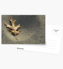 Frost on Leaf Postcards