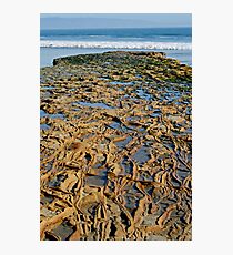 Rocky Roads Can Be Beautiful Photographic Print