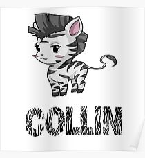 Zebra Collin Poster