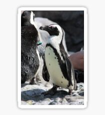 Penguin Sticker