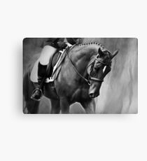 Elegance Dressage Horse in Black and White Canvas Print