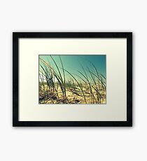 Beach Dunes Framed Print
