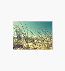 Beach Dunes Art Board