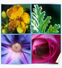 Flowers macro pattern Poster