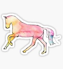 Watercolor Canter Sticker