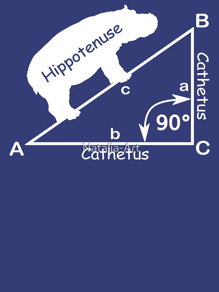hippotenuse hypotenuse pullover hoodie by nataliaart  redbubble hippotenuse hypotenuse pullover hoodie by nataliaart  redbubble
