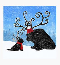 Reindeer Newfies Photographic Print