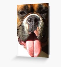 Boxer Dog Headshot Greeting Card