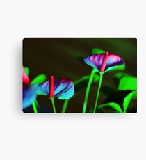 intense Canvas Print