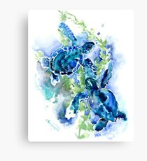 Sea Turtles Turquoise BLue design Canvas Print
