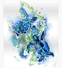 Meeresschildkröten Türkis BLue Design Poster