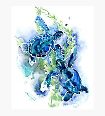 Meeresschildkröten Türkis BLue Design Fotodruck