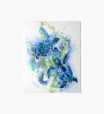 Meeresschildkröten Türkis BLue Design Galeriedruck