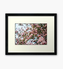 nature Framed Print