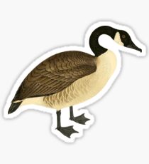 Canada Goose Cute Canadian Goose Graphic, Canuck Gift Sticker