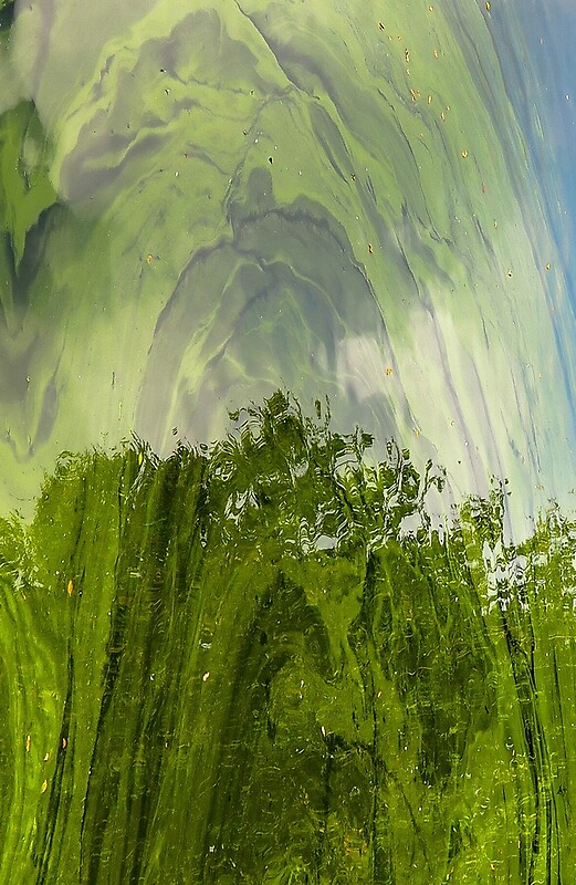 slime john halkin slime john halkin