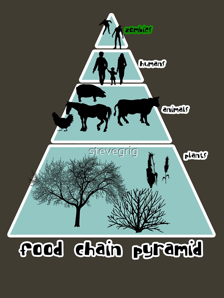 food pyramid shirt