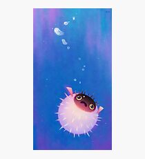 Puffer Photographic Print