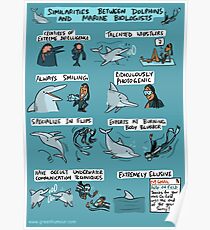 Dolphins and Marine Biologists Poster