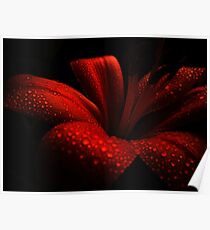 Ruby. Poster