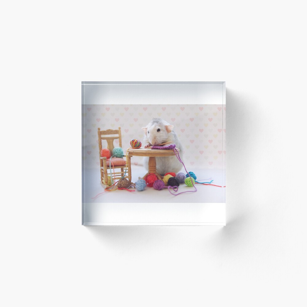 Rosie still knitting..... Acrylic Block