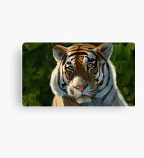 Confidence Canvas Print
