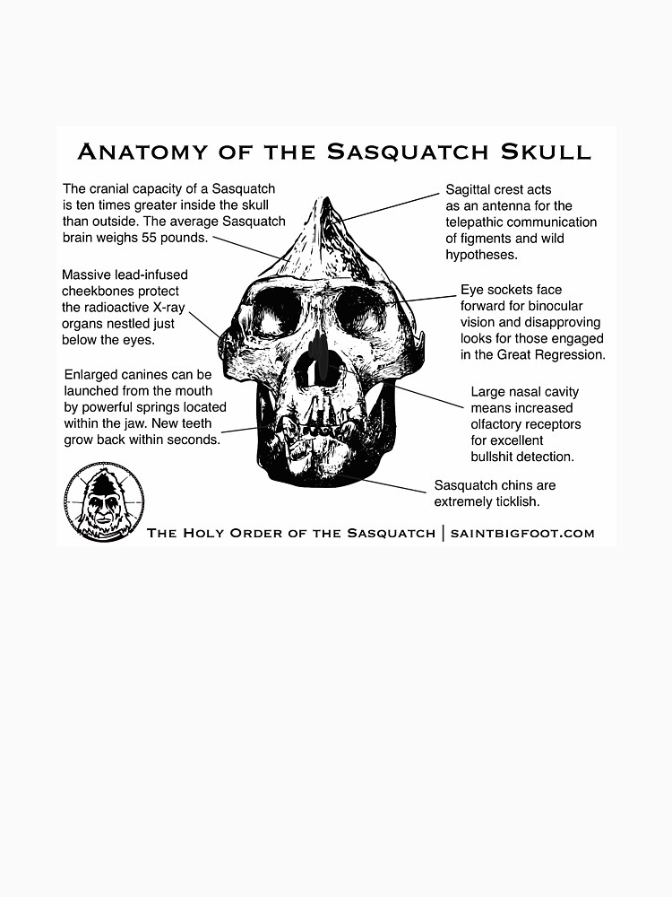 Anatomy of the Sasquatch Skull by SaintBigfoot
