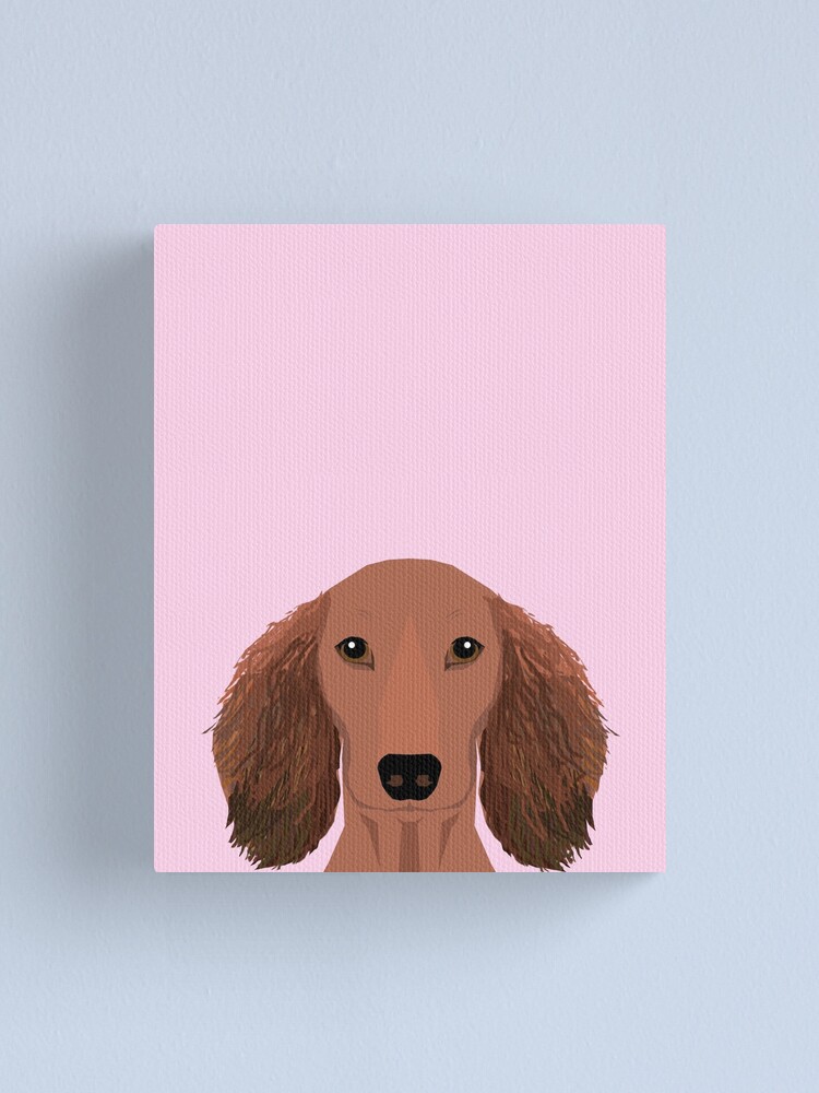 Doxie Portrait Red Longhaired Dog Design Cute Dachshund Face