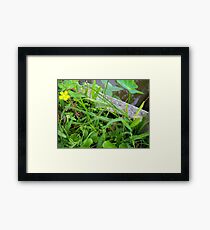 Wildflower and the Lizard Framed Print