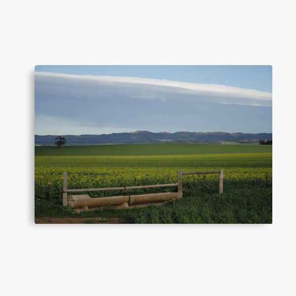 ~Barossa Valley~ Canvas Print
