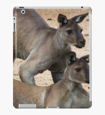 Kangaroo Two, Australia iPad Case/Skin