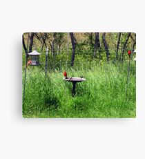 Cardinal Directions Canvas Print