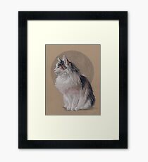 Sugar is a very floofly cat Framed Print