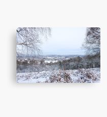 snowy woodland Canvas Print
