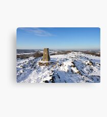 snowy landscape Canvas Print