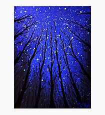 Star Gazer Photographic Print